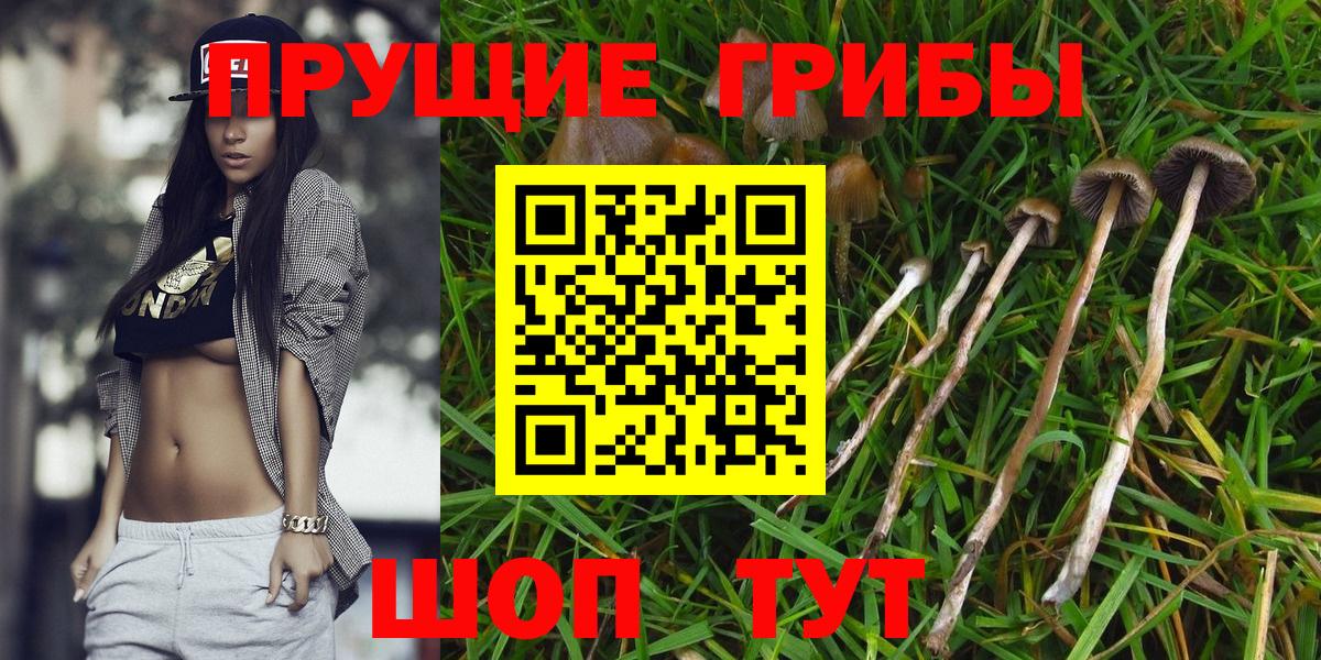 Псилоцибиновые грибы Magic Shrooms Феодосия