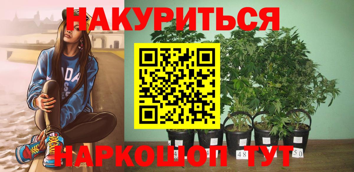 Канабис конопля  Бошки марихуана White Widow  Феодосия  Вход с VPN  Марихуана Amnesia  Шишки марихуана SATIVA & INDICA 